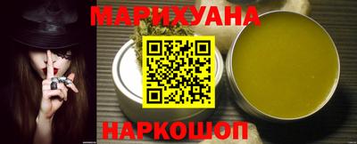 прущие грибы Обнинск