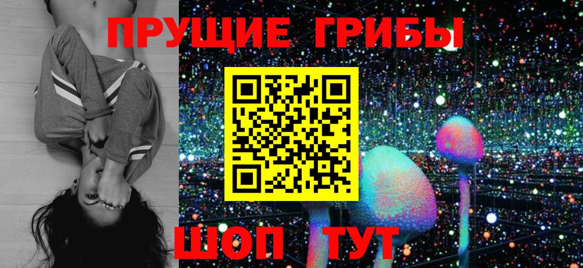 Тайшет  Псилоцибиновые грибы Magic Shrooms  Вход с VPN 