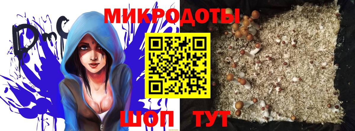 Галлюциногенные грибы GOLDEN TEACHER Тайшет