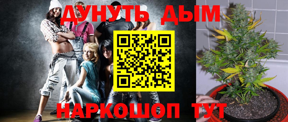МАРИХУАНА White Widow  Вход с VPN  Конопля планчик  Тайшет 